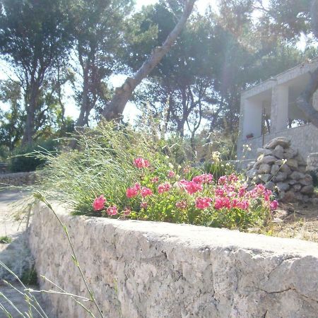 Villa Aquarium Gagliano del Capo Eksteriør billede