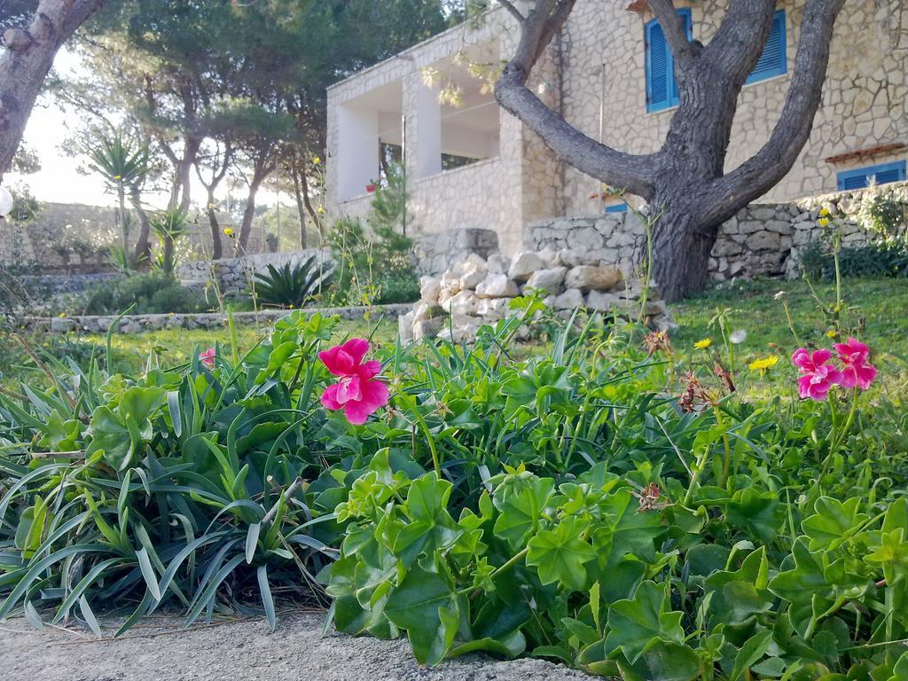 Villa Aquarium Gagliano del Capo Eksteriør billede