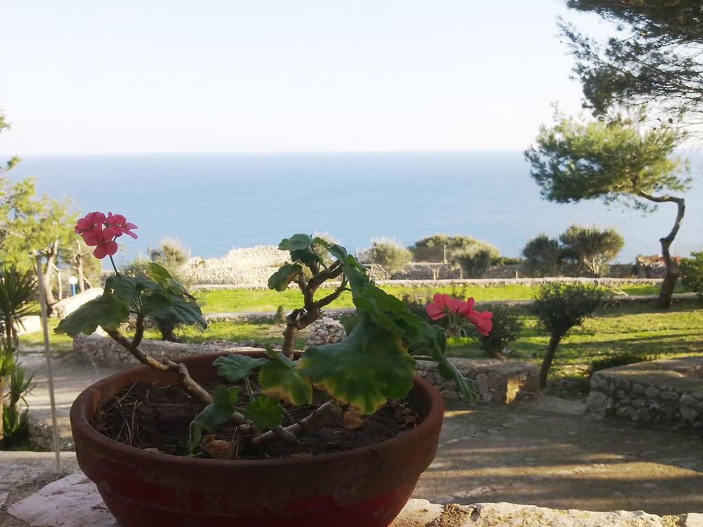 Villa Aquarium Gagliano del Capo Eksteriør billede