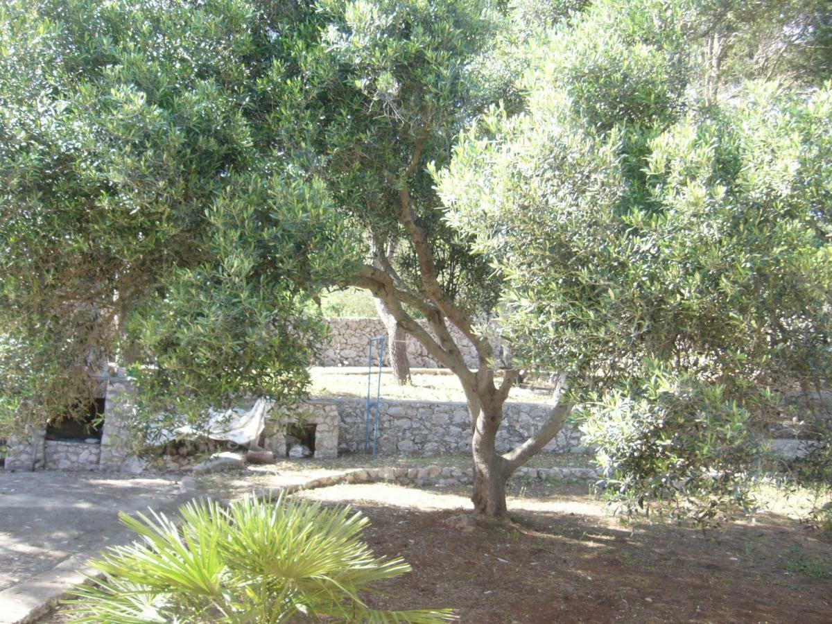 Villa Aquarium Gagliano del Capo Eksteriør billede