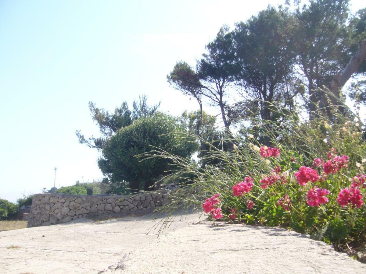 Villa Aquarium Gagliano del Capo Eksteriør billede