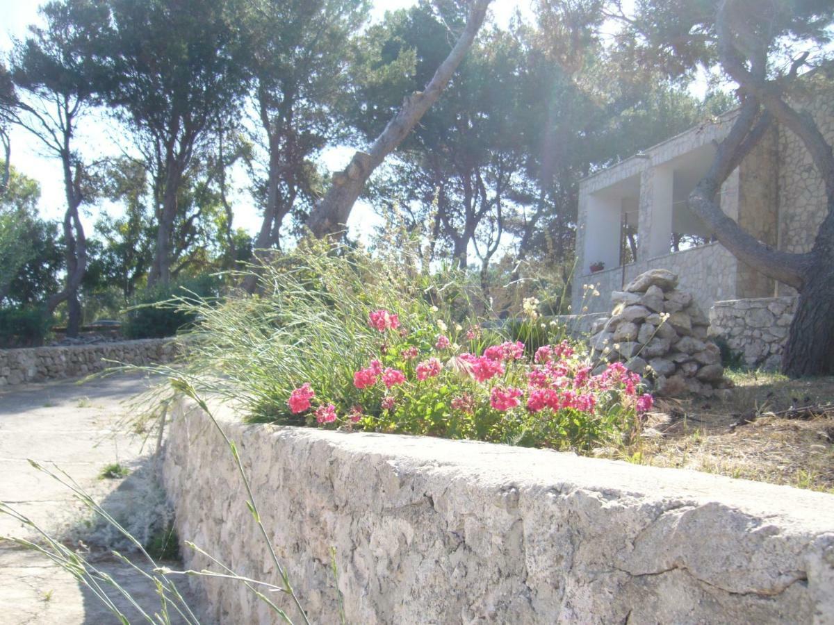 Villa Aquarium Gagliano del Capo Eksteriør billede
